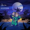 Goodsin Speed Up - Single