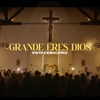 Grande Eres Dios - Single