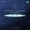 Setthu Pocchu Manasu (From "Peranbu") [Chill Lofi] - Single