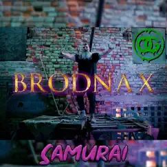 Samurai - Single by Brodnax album reviews, ratings, credits