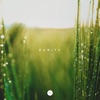 Purity - Single