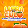 Stream & download Llora Culo (feat. El Boke) - Single