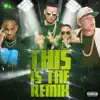 Gangsta Zone (feat. Angel Doze, Arcángel, Héctor El Father, Yomo & De La Ghetto) [Remix] song lyrics