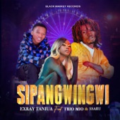 Sipangwingwi (feat. Trio Mio & Ssaru) artwork