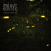 Strays - EP artwork