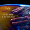 Let the Healing of the Earth Begin (feat. Sika & Meeta Pandit & Deva Presence & Satyaa & Pari & Pernilla Kannapinn & Kevin James & David Lurey & Lucinda Drayton & Ellen Molnia & Tijn Touber) artwork