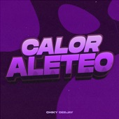 Calor Aleteo (Remix) artwork
