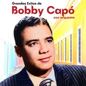 Grandes Éxitos de Bobby Capó artwork