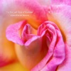 'Tis the Last Rose of Summer (Piano Solo) - Single