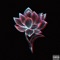 Higher Vibration (feat. Danny Ali) - Red Lotus lyrics