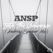 Into the Unknown (Andrew Spencer Extended Mix) artwork