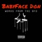 Slide - BabyFace Don lyrics