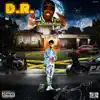 Stream & download D.R. (feat. Baby Boy Da Prince) - Single