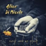 Alice Di Micele - Communication
