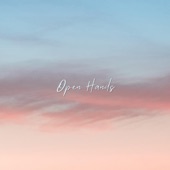 Open Hands (feat. Diana Trout) artwork