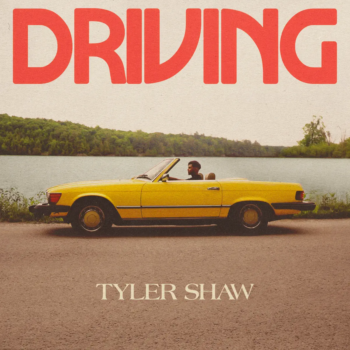 Tyler Shaw - Driving - Single (2023) [iTunes Plus AAC M4A]-新房子