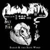 Sky On Fire - Single album lyrics, reviews, download