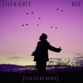 Rise (Sam Feldt Remix) artwork