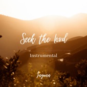 Seek the Lord (Instrumental) artwork