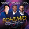 Bohemio en Cuarentena (Remix) - Single