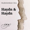 Haydn & Haydn