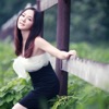 魏新雨 - 幸福中国梦