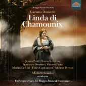 Donizetti: Linda di Chamounix, A. 62 artwork