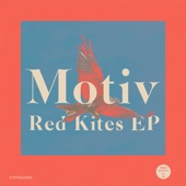 Motiv - Red Kites