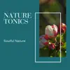 Nature Tonics - Soulful Nature album lyrics, reviews, download