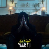 Yaar Tu artwork