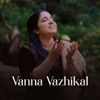 Vanna Vazhikal Onnorthidumpol - Single