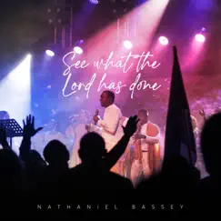 See What the Lord Has Done - Single by Nathaniel Bassey album reviews, ratings, credits