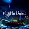 Night in Dubai - Single album lyrics, reviews, download