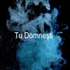 Tu Domnești - Single