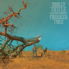 Molly Tuttle & Golden Highway - Crooked Tree artwork