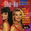 De Hit-Singles (Remixes)