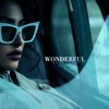 Wonderful - Single