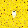 Sunflower - EP