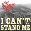 I Can't Stand Me - Single