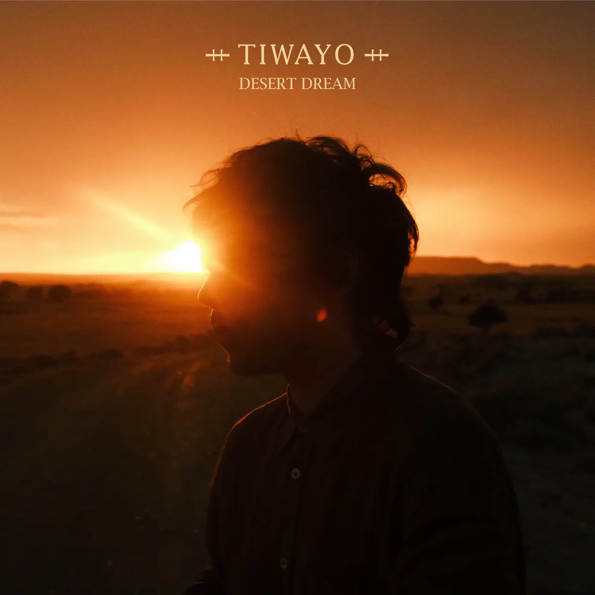 Tiwayo - Desert Dream (2023) [iTunes Plus AAC M4A]-新房子