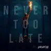 Never Too Late - Single (feat. Onlap) - Single album lyrics, reviews, download
