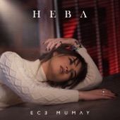 Heba artwork