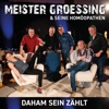 Daham sein zählt - Single