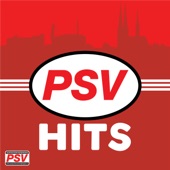 PSV Hits artwork