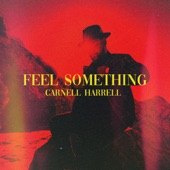 Feel Something artwork