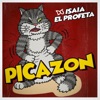 Picazon - Single