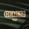 Genesi - Vive Worship lyrics