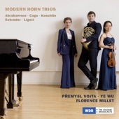 Trio for Horn, Violin and Piano "Hommage à Brahms": II. Vivacissimo molto ritmico artwork