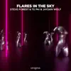 Flares in the Sky - Single album lyrics, reviews, download