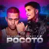 Pocotó - Single album lyrics, reviews, download